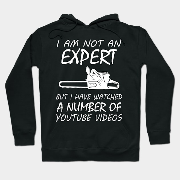 I Am Not An Expert But I Have Watched A Number Of... Hoodie by Tee-hub